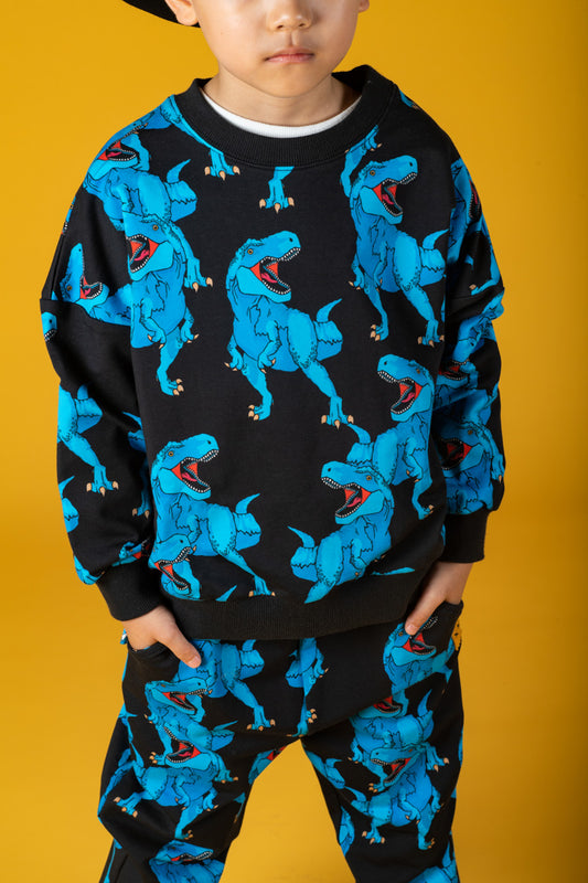 Rock Your Baby - Blue Rex - Boys Sweatshirt