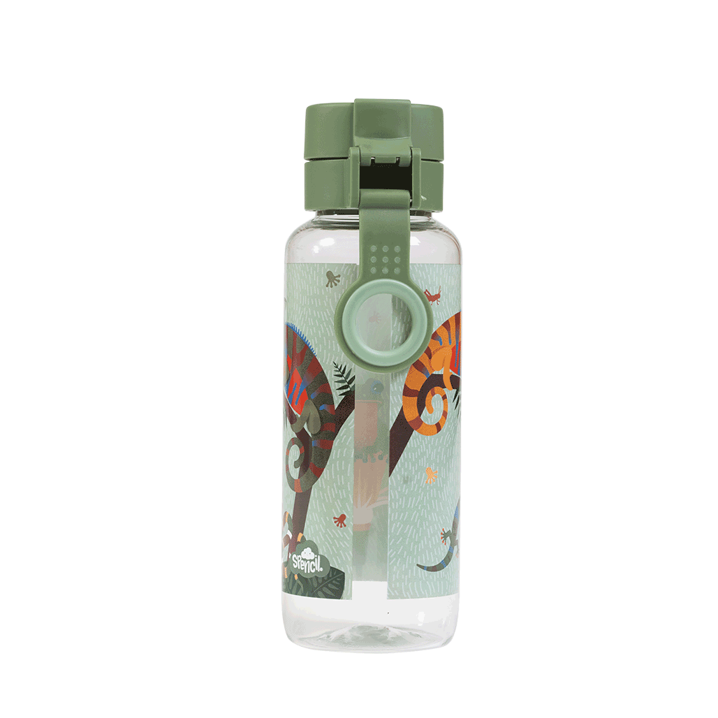 Big Water Bottle - Quirky Chameleon
