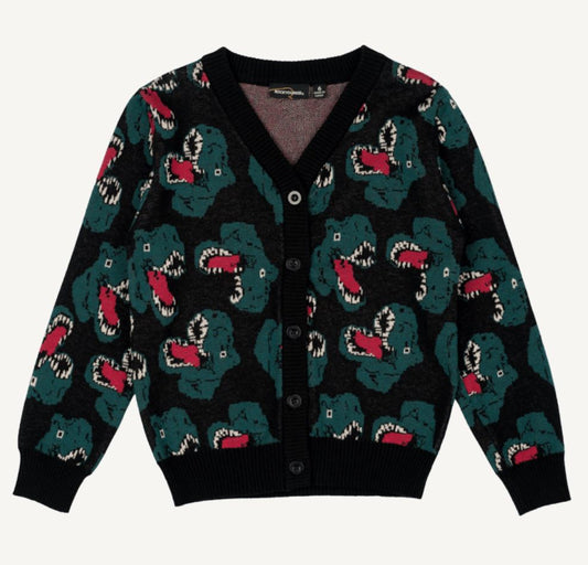 Rock Your Baby - Dino Knit Boys Cardy