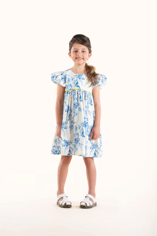 Rock Your Baby - Summer Toile Dress
