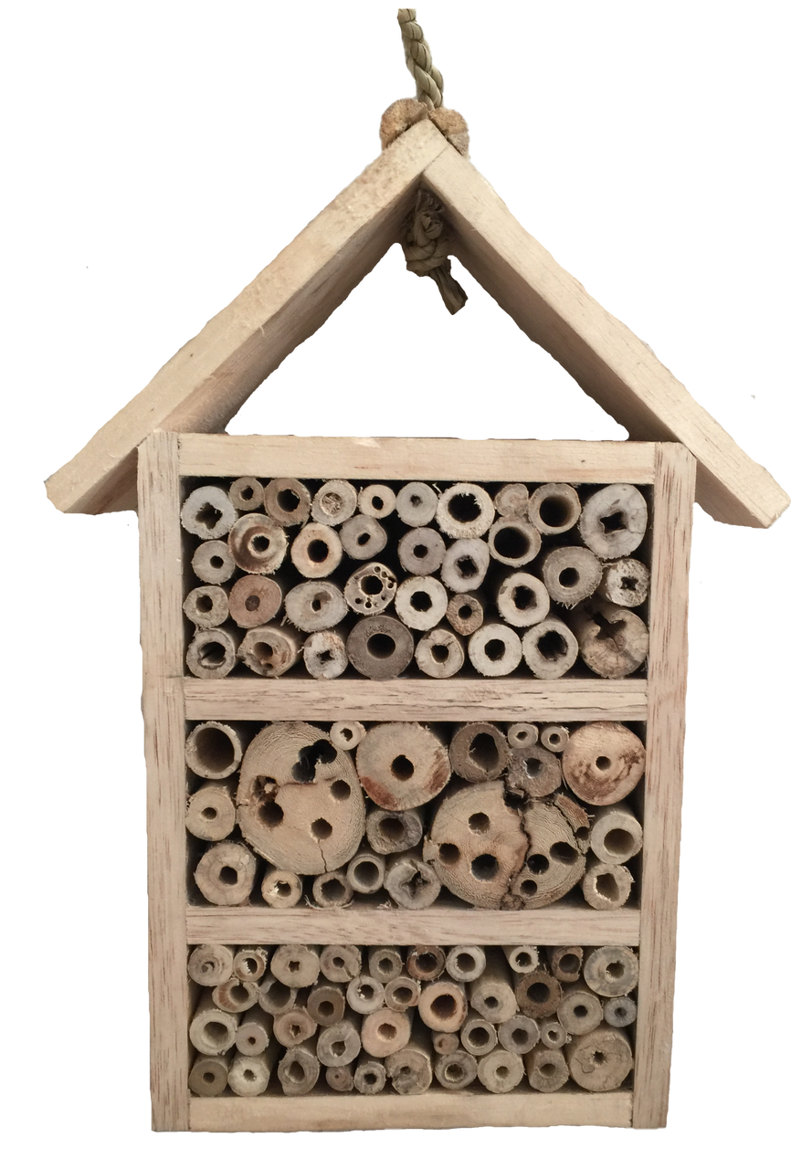 Wooden Insect House