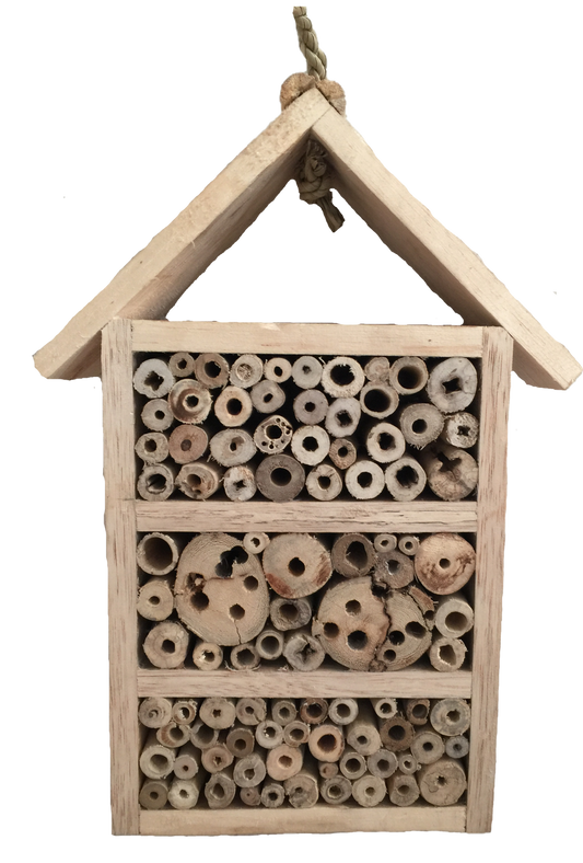 Wooden Insect House